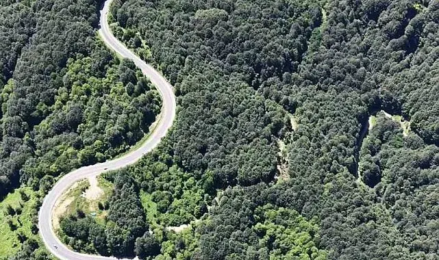 Bursa ormanlarında kartpostallık görüntüler