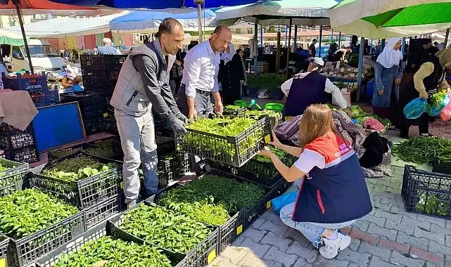 Pazarlarda satılan tohum ve fideler kontrol edildi