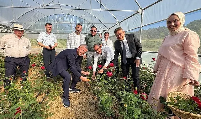 Kadın girişimci hibe desteğiyle Kocaeli'nin ilk gül serasını kurdu