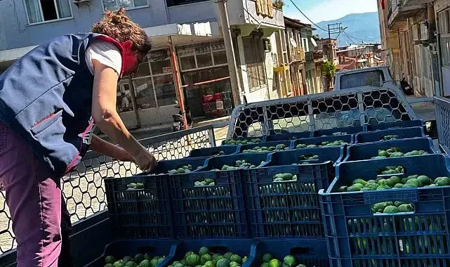 Bozdoğan'da İlek denetimleri aralıksız sürüyor