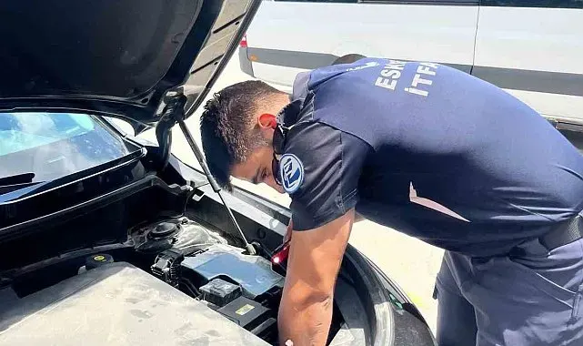 Eskişehir'de motor bölümüne sıkışan kediyi itfaiye ekipleri kurtardı