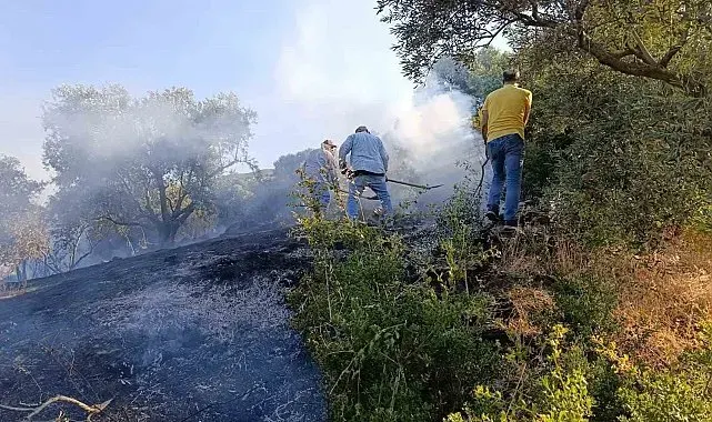 Bozdoğan'da arazi yangını