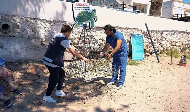 Didim Belediyesi deniz kaplumbağalarının yuvalama alanlarını koruma altına aldı