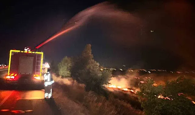 Hatay'da anız yangını zeytinliğe sıçradı: 200 dönüm arazi zarar gördü
