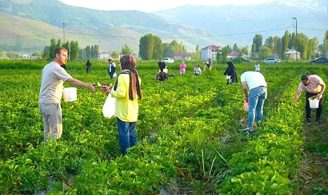 Yemek serbest, götürmek ücretli