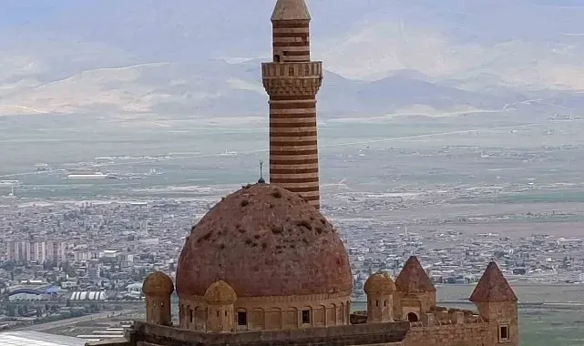 İshakpaşa Sarayı'nın kubbesindeki otlar ziyaretçilerin dikkatini çekti