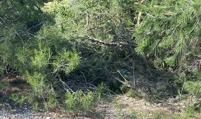 Uçuruma yuvarlanan traktör sürücüsü hayatını kaybetti