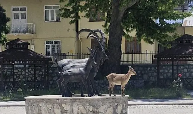 Çemişgezek'te tebessüm ettiren an: Gerçeği ve heykeli aynı karede
