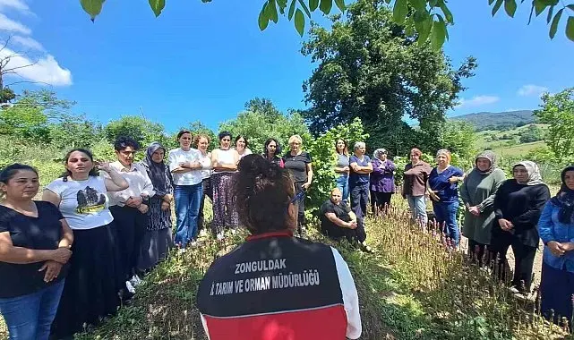 Kadın üreticilere 7 bin salep fidesi desteği