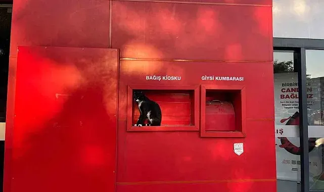 Kızılay'ın sevimli bekçisi
