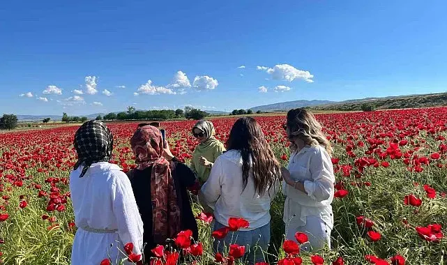 Elazığ'da oluşan doğal gelincik tarlasına vatandaşlar akın etti