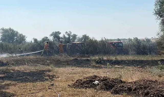 Balıkesir'de iki ayrı ilçede çıkan arazi yangınları kontrol altına alındı