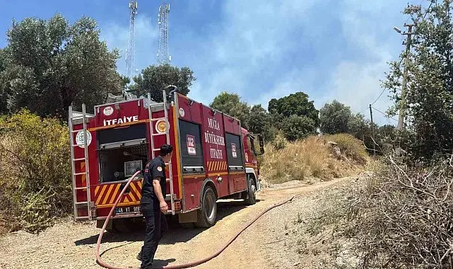 Bodrum'da çıkan yangın büyümeden söndürüldü