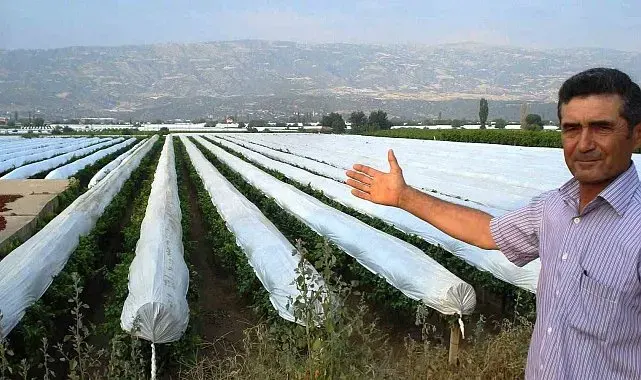 Sarıgöl Ovası beyaza bürünmeye hazırlanıyor