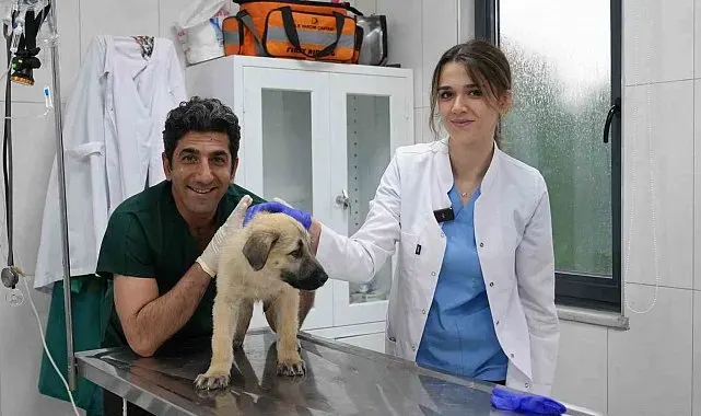 Ödüllü Hayvan Bakım Merkezi can dostlara umut oluyor