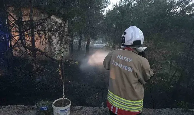 Hassa'da çamlık alan yangını