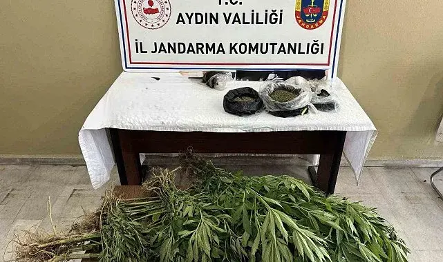 Efeler'de uyuşturucu operasyonu