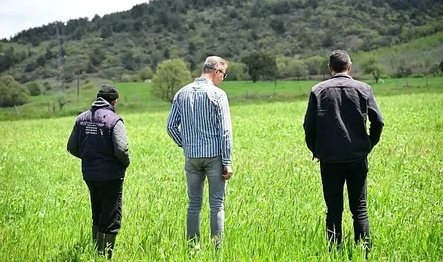 Manisa Büyükşehir'in toprakla buluşan tohumları yeşerdi