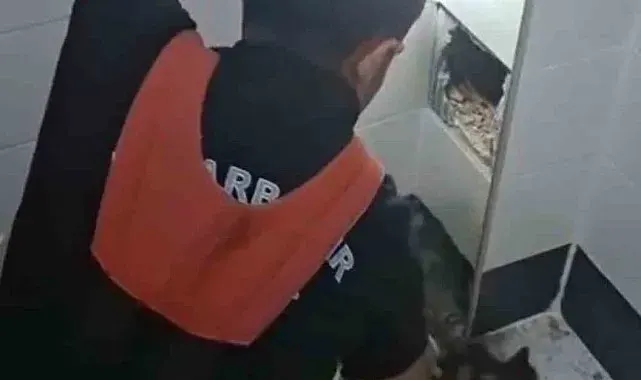 İtfaiye erleri havalandırma boşluğunda kalan kedi için seferber oldu