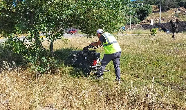 Bodrum'da ot temizliği çalışmaları tüm hızıyla devam ediyor