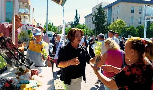 Didim Belediyesi'nden ücretsiz fide dağıtımı