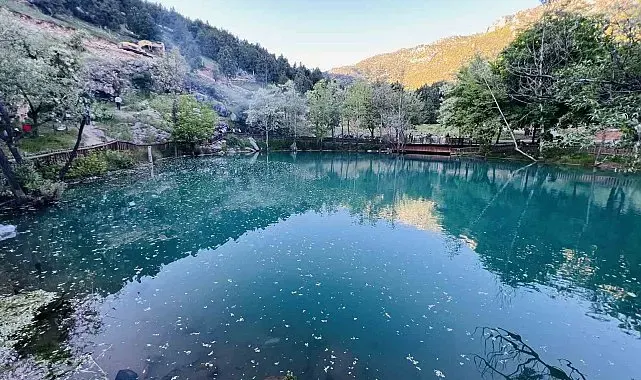 Kahramanmaraş'ta "Yeşilgöz" göz kamaştırıyor