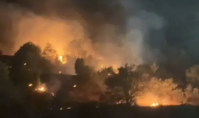 Yüksekova'da ağaçlık alanda çıkan yangın söndürüldü