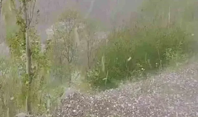 Erzurum'da ceviz büyüklüğünde dolu yağdı