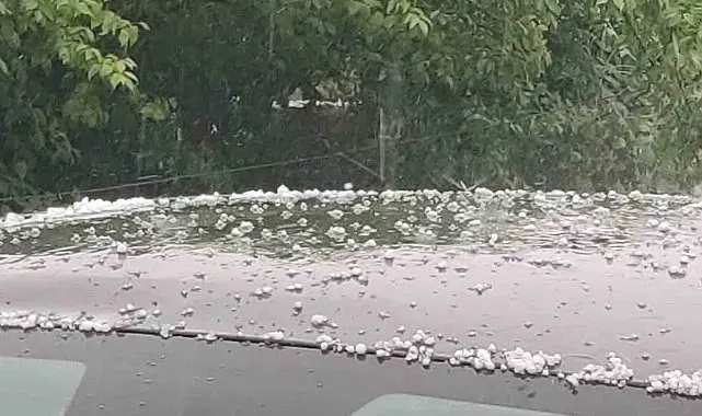 Bingöl'de dolu yağışı etkili oldu
