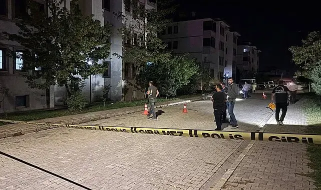 Erzincan'da bir eve silahla ateş edildi