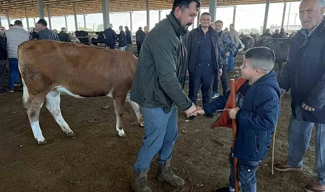 Iğdır'da kurban pazarlıkları sürüyor: Vatandaş küçükbaşa yöneldi