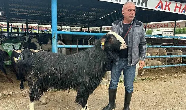 Bursa'daki kurban pazarının şampiyon keçisi 47 bin liradan satıldı
