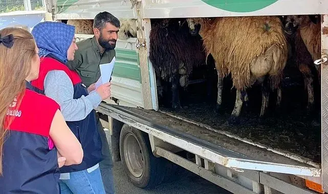 Elazığ'da Kurban Bayramı öncesi denetim