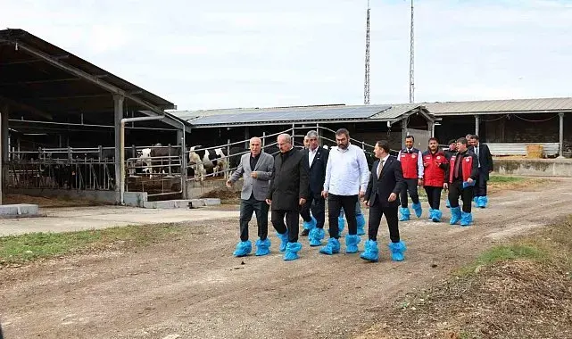 Kurban Bayramı öncesi hayvancılık işletmelerinde inceleme