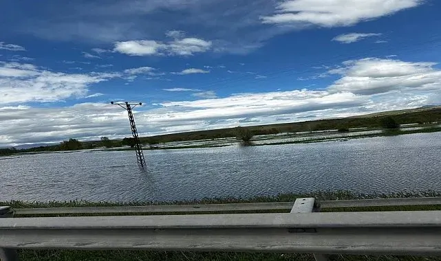 Tercan'da yağışlar nedeniyle tarım arazilerini su bastı