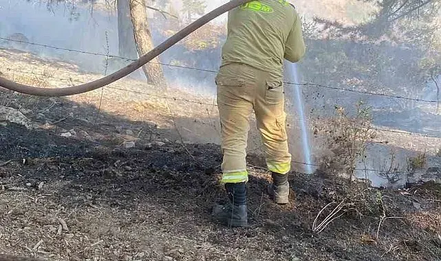 Kahramanmaraş'ta çıkan orman yangını kontrol altına alındı