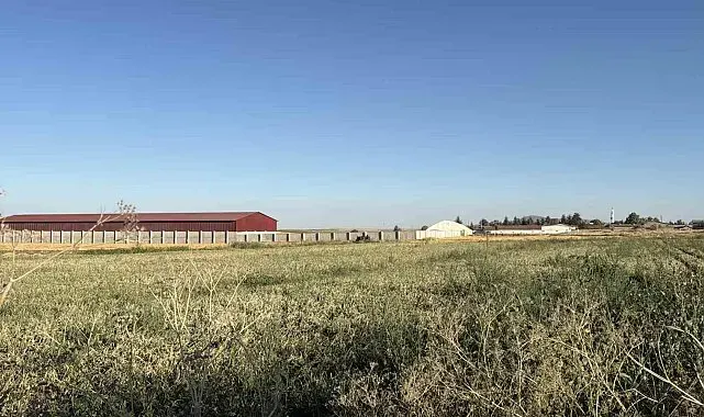 Odunpazarı'nda tarım arazisinde mühimmat bulundu: Kontrollü şekilde imha edilecek