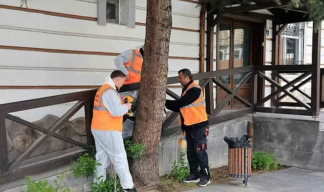 Talas'tan çevre dostu ilaçlama atağı