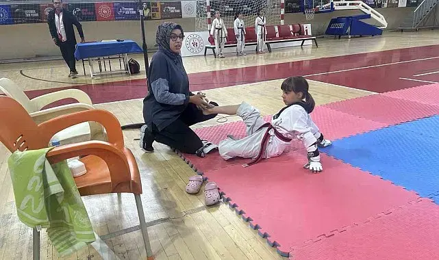 Minikler Taekwondo İl Müsabakaları yapıldı