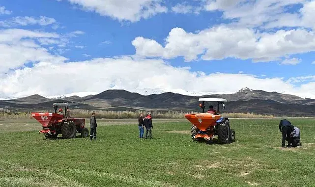 200 dekar suni merada üst gübreleme tamamlandı