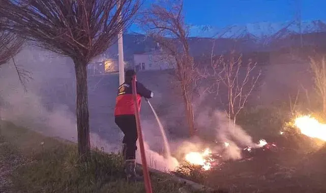 Van'da sazlık yangını