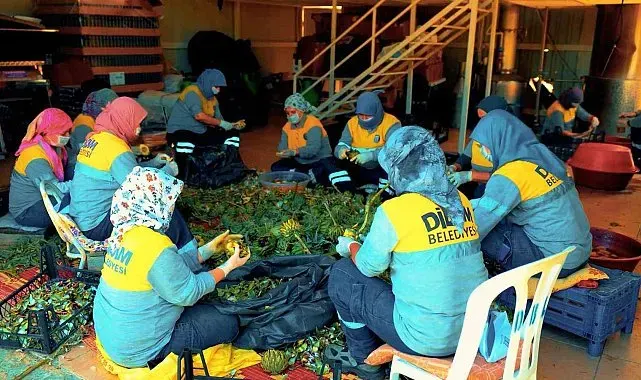 Didim Belediyesi'nin doğal ürünleri halkla buluşuyor