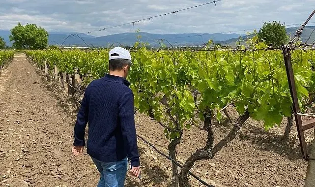 Yağış sonrası sıcaklık artışı hastalık riskini zirveye taşıdı
