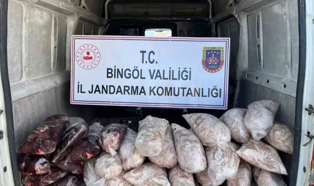 Bingöl'de gıda ve hijyen kurallarına aykırı şekilde taşınan 200 kilo sakatat ele geçirildi