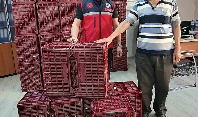 Köşk'te incir üreticilerine hibeli kasa desteği