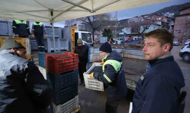 Gemlikli çiftçinin yüzü Gemlik Belediyesi'yle gülüyor