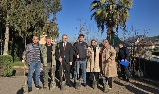 Belediye ücretsiz Trabzon Cennet Hurması fidanı dağıttı