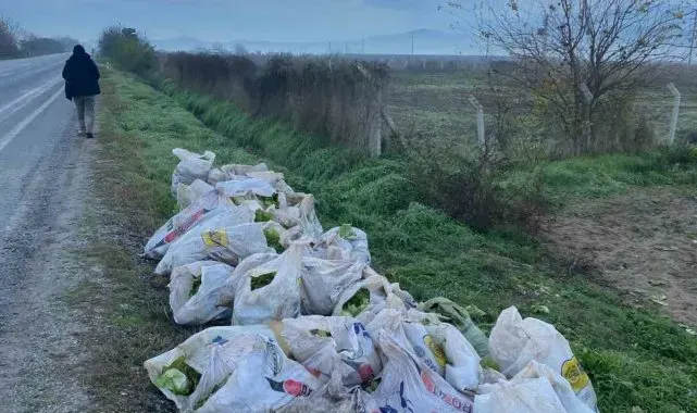 İzmir'de çuval çuval marul çalan 3 şüpheli tutuklandı