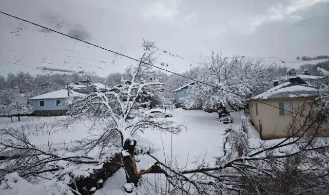 Elazığ'da yoğun kar yağışından dolayı ağaçlar devrildi