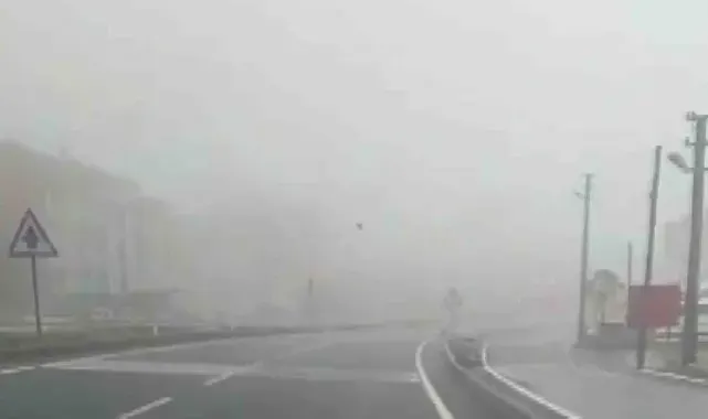 Denizli'de sis sürücülere zor anlar yaşatıyor